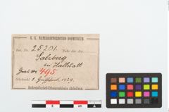 Etikett zu Beingriffplatte (NHMW-PRAE-025201)